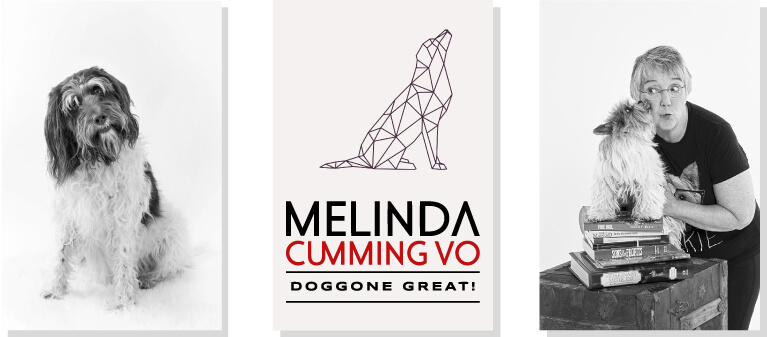 Melinda Cumming Voiceover Actor Banner