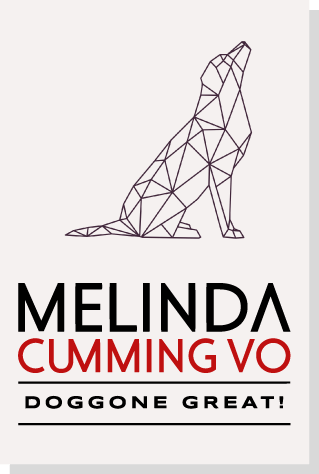 Melinda Cumming Voiceover Actor Branding